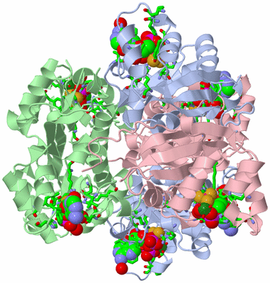 Image Biol. Unit 1 - sites