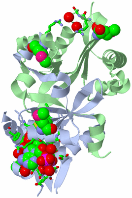 Image Asym./Biol. Unit - sites