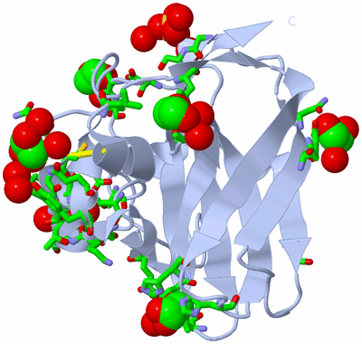 Image Biol. Unit 1 - sites