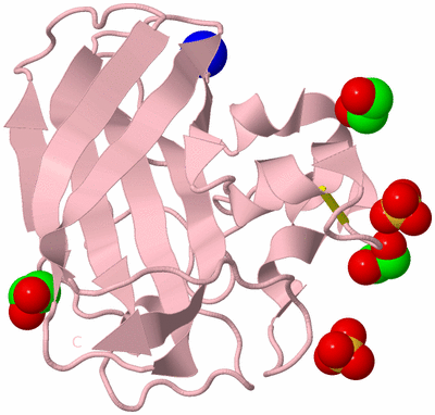 Image Biological Unit 3