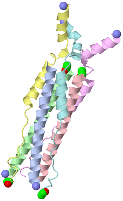 Image Asymmetric Unit