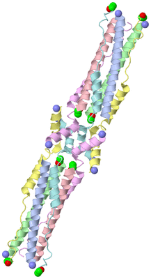 Image Biological Unit 1