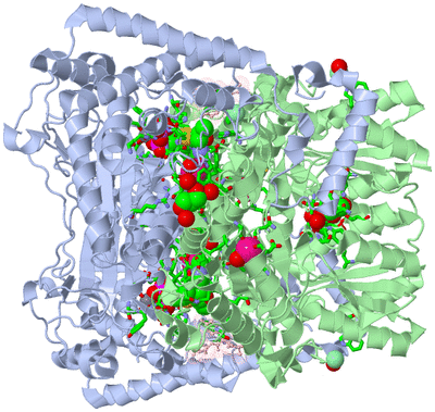 Image Biol. Unit 1 - sites