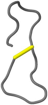 Image NMR Structure - model 1