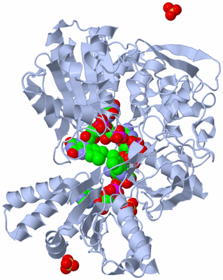 Image Biological Unit 1