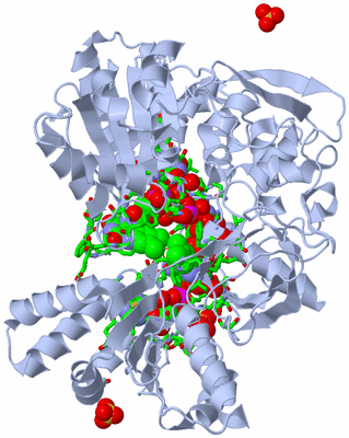 Image Biol. Unit 1 - sites