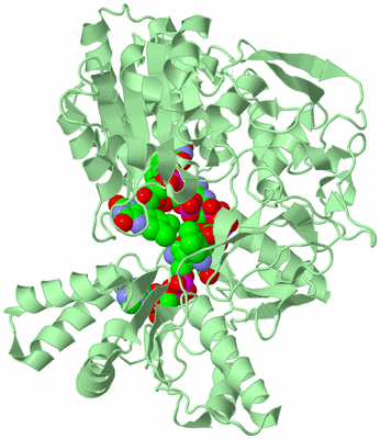 Image Biological Unit 2