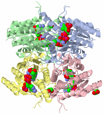 Image Asym./Biol. Unit