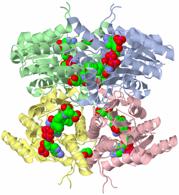 Image Asym./Biol. Unit