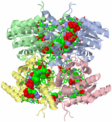 Image Asym./Biol. Unit - sites