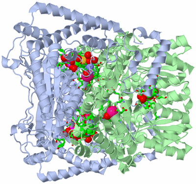 Image Biol. Unit 1 - sites