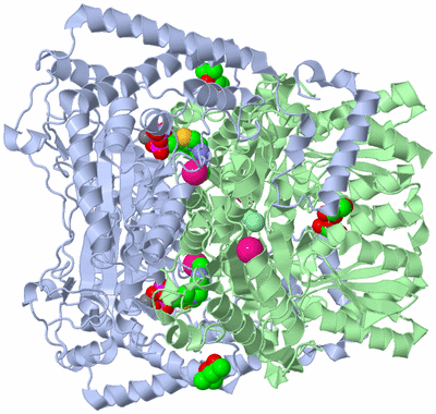 Image Biological Unit 1