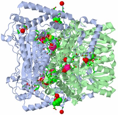 Image Biol. Unit 1 - sites