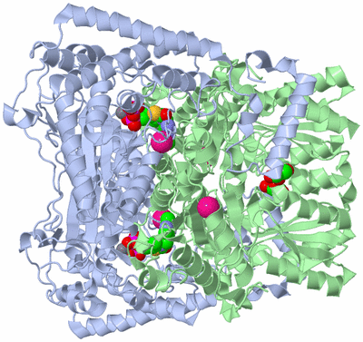 Image Biological Unit 1