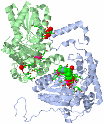 Image Asym. Unit - sites