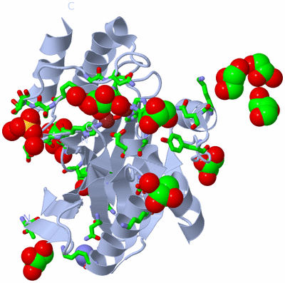 Image Biol. Unit 1 - sites