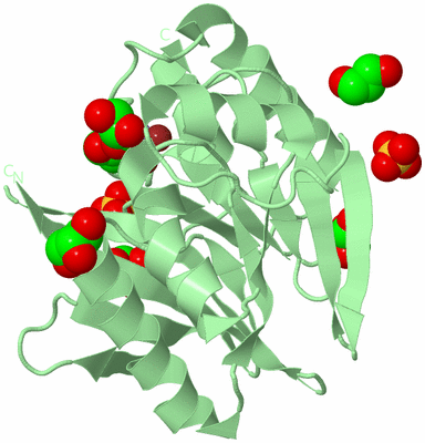 Image Biological Unit 2