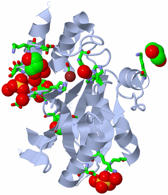 Image Biol. Unit 1 - sites