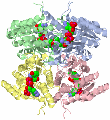 Image Asym./Biol. Unit