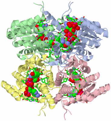 Image Asym./Biol. Unit - sites