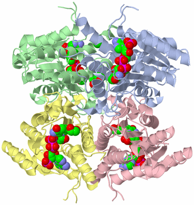 Image Asym./Biol. Unit