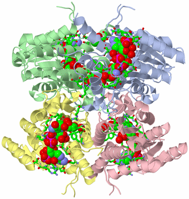 Image Asym./Biol. Unit - sites