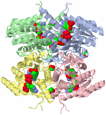 Image Asym./Biol. Unit