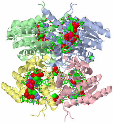 Image Asym./Biol. Unit - sites