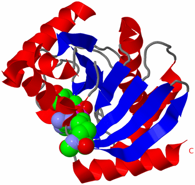 Image Asym./Biol. Unit