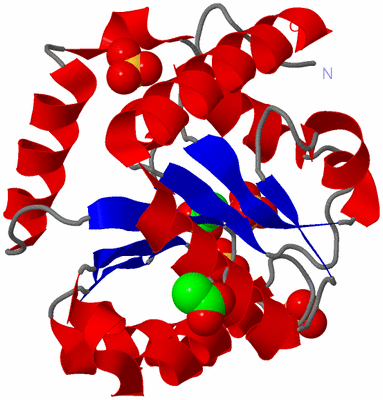 Image Asym./Biol. Unit