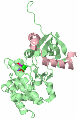 Image Biological Unit 2