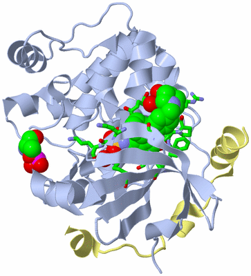 Image Biol. Unit 1 - sites