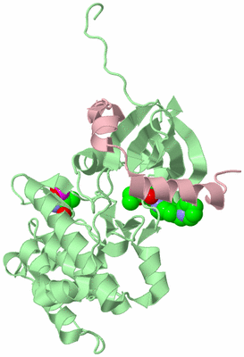 Image Biological Unit 2