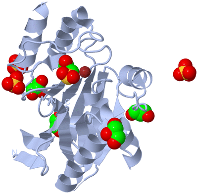 Image Biological Unit 1