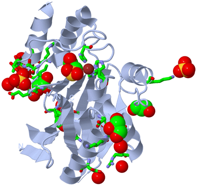 Image Biol. Unit 1 - sites