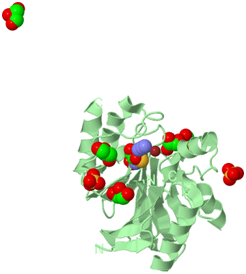 Image Biological Unit 2