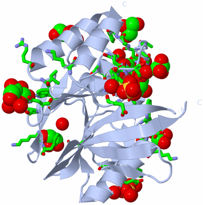 Image Biol. Unit 1 - sites