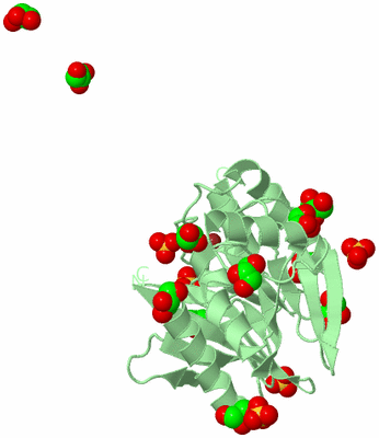 Image Biological Unit 2