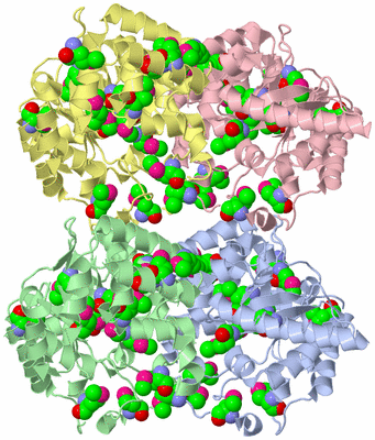 Image Asymmetric Unit