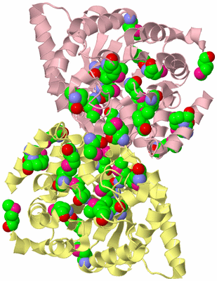 Image Biological Unit 2