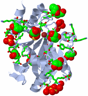 Image Biol. Unit 1 - sites