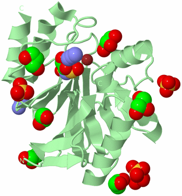 Image Biological Unit 2