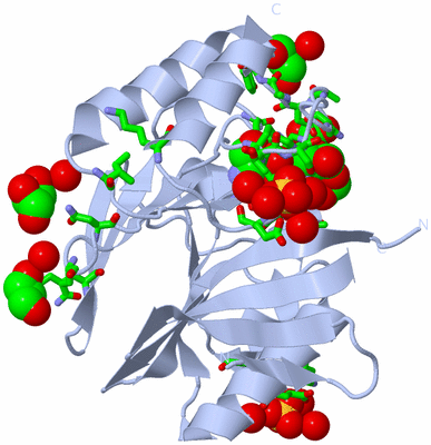 Image Biol. Unit 1 - sites