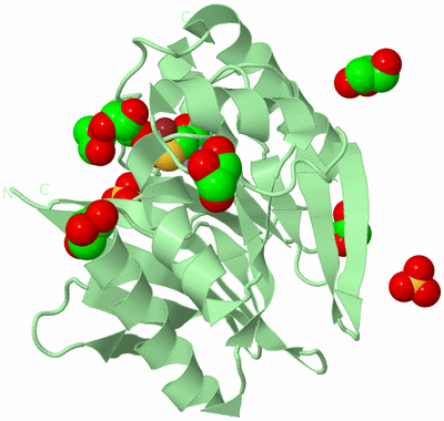 Image Biological Unit 2