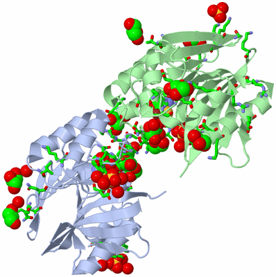 Image Asym. Unit - sites