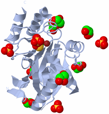 Image Biological Unit 1