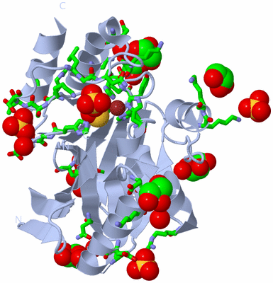 Image Biol. Unit 1 - sites