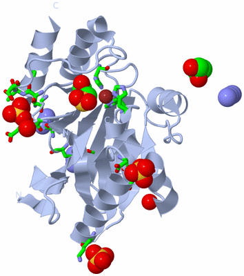 Image Biol. Unit 1 - sites