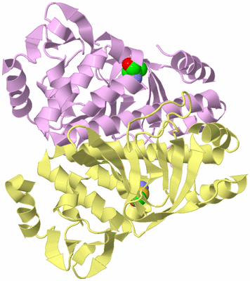 Image Biological Unit 2