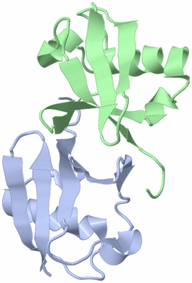 Image NMR Structure - model 1